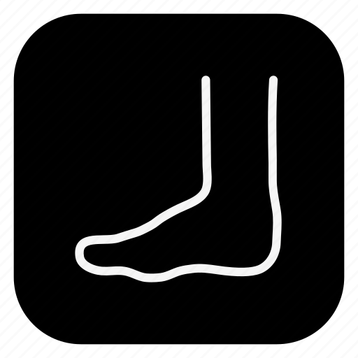 Anatomy, doctor, drug, hospital, medical, medicine, leg icon - Download on Iconfinder