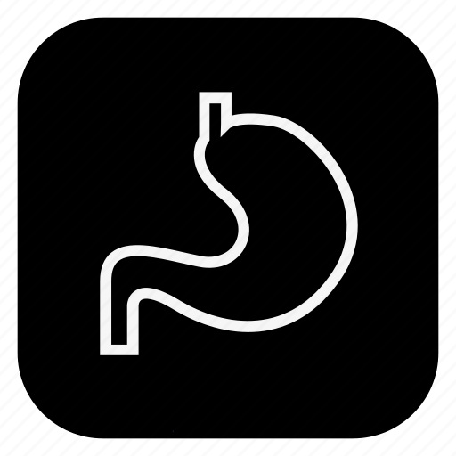 Anatomy, doctor, drug, hospital, medical, medicine, stomach icon - Download on Iconfinder