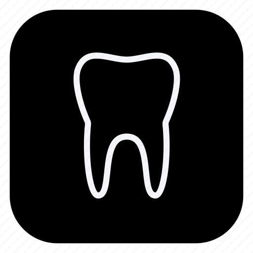 Anatomy, doctor, drug, hospital, medical, medicine, tooth icon - Download on Iconfinder