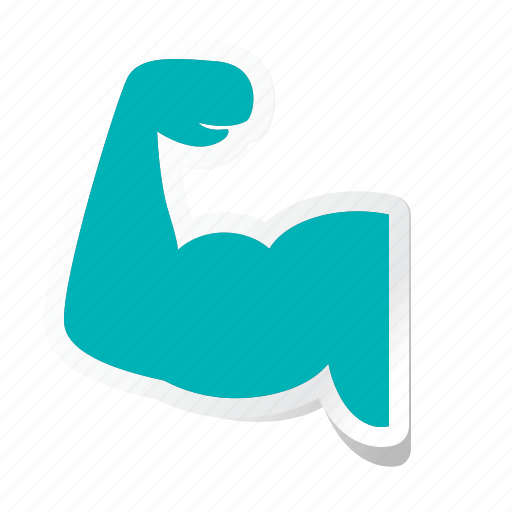 Anatomy, health, human, parts, arm, bycep, muscle icon - Download on Iconfinder