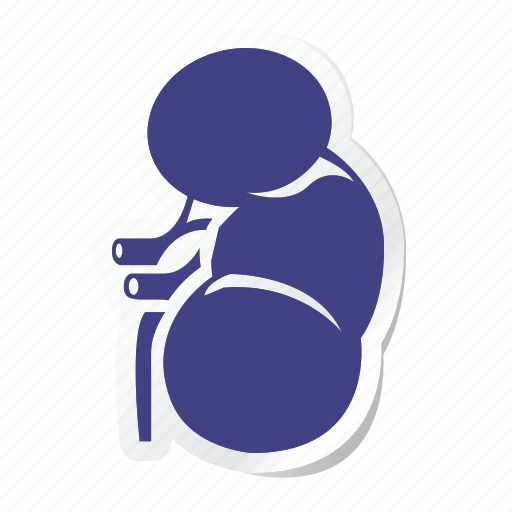 Anatomy, body, health, human, part, parts, uterius icon - Download on Iconfinder