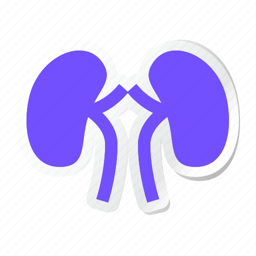 Anatomy, body, health, human, part, parts, kidneys icon - Download on Iconfinder