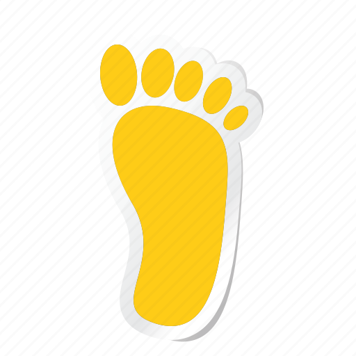 Anatomy, body, health, human, part, foot, foot print icon - Download on Iconfinder