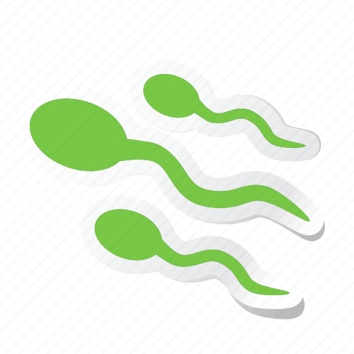Anatomy, body, health, human, part, parts, spermatozoon icon - Download on Iconfinder