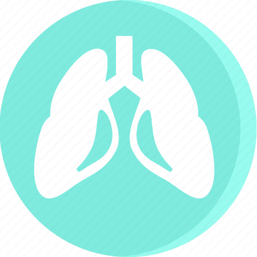 Anatomy, body, health, human, part, parts, lungs icon - Download on Iconfinder