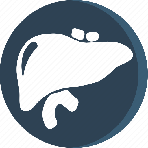 Anatomy, body, health, human, part, parts, lungs icon - Download on Iconfinder