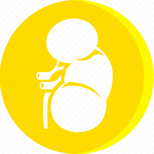 Anatomy, body, health, human, part, parts, human fetus icon - Download on Iconfinder