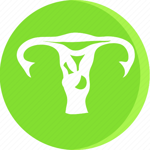 Anatomy, body, health, human, part, parts, human uterus icon - Download on Iconfinder