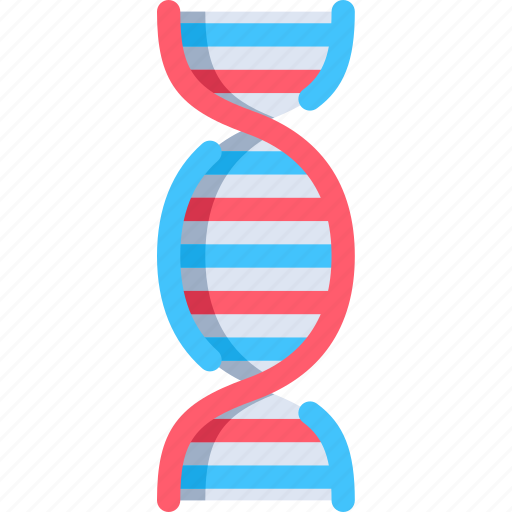 Dna, dna structure, genetic, biology, research, science, genetical icon - Download on Iconfinder
