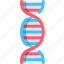dna, dna structure, genetic, biology, research, science, genetical, laboratory, deoxyribonucleic acid, medical 