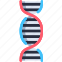 dna, dna structure, genetic, biology, research, science, genetical, laboratory, deoxyribonucleic acid, medical
