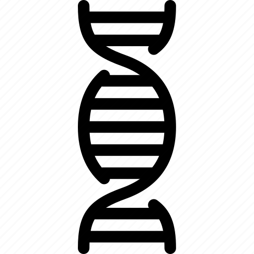 Dna, dna structure, genetic, biology, research, science, genetical icon - Download on Iconfinder
