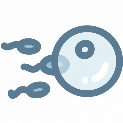 Egg, reproduction, sperm, competition, fertilization, insemination, ovum icon - Download on Iconfinder