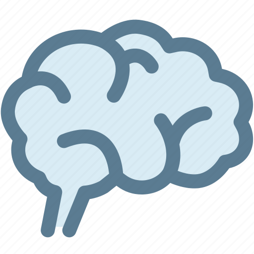 Brain, idea, internal organ, medical, mind icon - Download on Iconfinder
