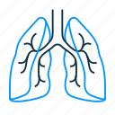 pulmonology, lungs, anatomy 