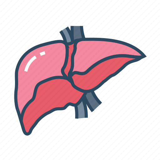 Medical, specialist, hepatology, liver, detoxification icon - Download on Iconfinder