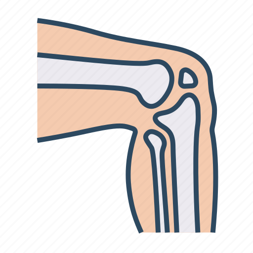Medical, specialist, knee joint, knee, joint, bone icon - Download on Iconfinder