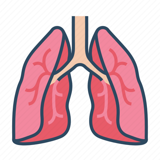 Medical, specialist, pulmonology, lungs, anatomy icon - Download on Iconfinder