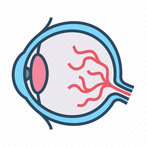 Medical, specialist, ophthalmology, eyeball, eye icon - Download on Iconfinder