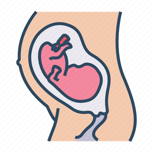 Medical, specialist, obstetrics, pregnancy, pregnant, ultrasound, embryo icon - Download on Iconfinder