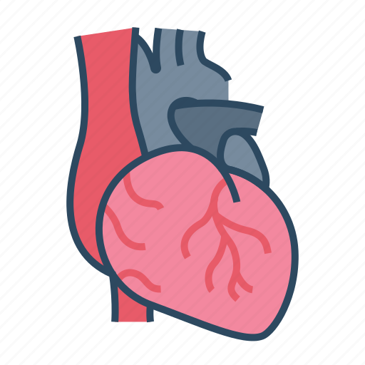 Medical, specialist, cardiac, heart icon - Download on Iconfinder