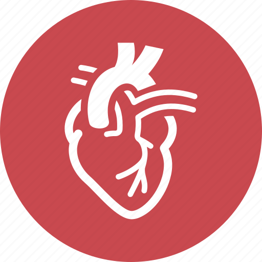 Cardiology, cardiovascular, heart icon - Download on Iconfinder