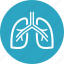 breath, lungs, pulmonology 