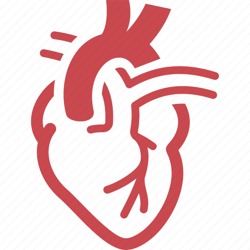 Cardiology, cardiovascular, healthcare, heart icon - Download on Iconfinder