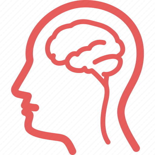 Brain, human, medical, neurology icon - Download on Iconfinder