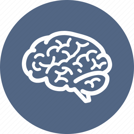 Brain, brainstorming, neuroscience, neurosurgery icon - Download on Iconfinder