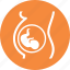 embryo, obstretrics, pregnancy 