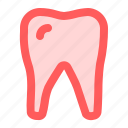 dental, dentist, medical, teeth, tooth