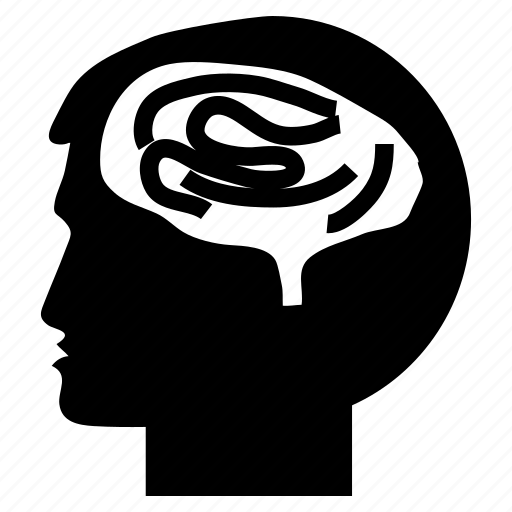 Brain, cranium, head, human, mind icon - Download on Iconfinder