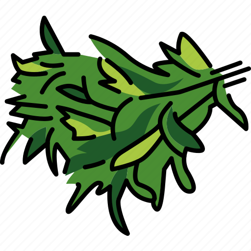 Thyme, plant, grass icon - Download on Iconfinder