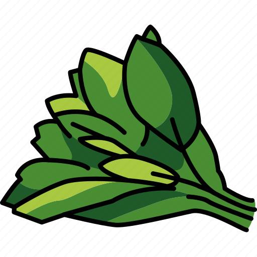 Sage, plant, medical icon - Download on Iconfinder