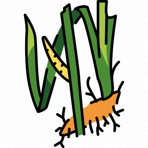 Acorus, calamus, plant icon - Download on Iconfinder