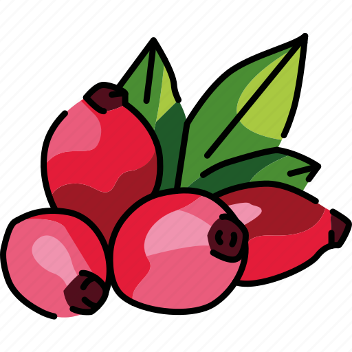 Fruit, berry, rosehip icon - Download on Iconfinder