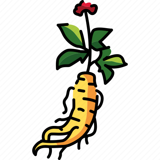 Ginseng, root, plant icon - Download on Iconfinder