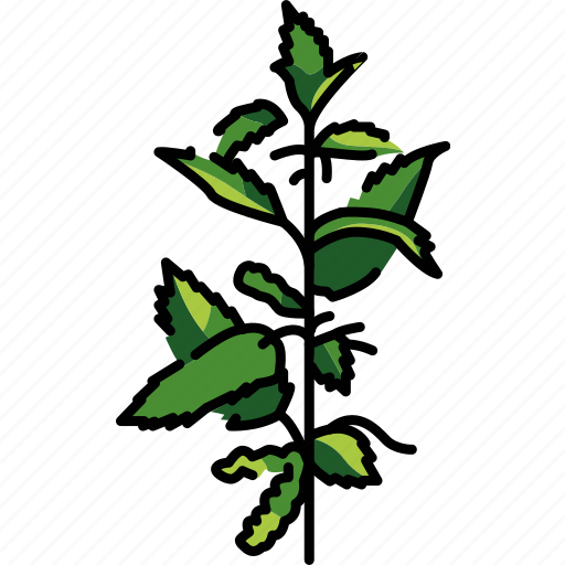 Nettle, plant, medical icon - Download on Iconfinder