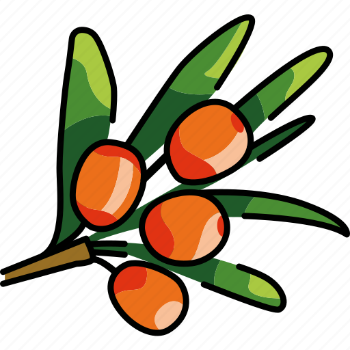 Sea, buckthorn, berry, plant icon - Download on Iconfinder