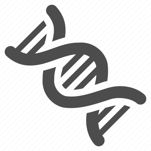 Dna, genetics, genom, helix, spiral, genetic, molecule icon - Download on Iconfinder