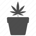 cannabis, drug, marihuana, marijuana, nature, plant, weed