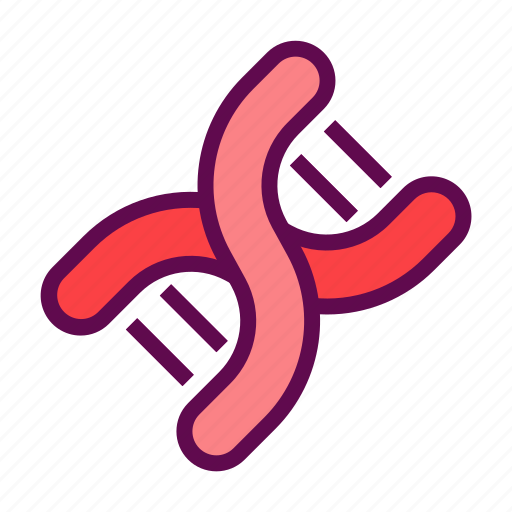 Genetics, dna, chain, helix, strand icon - Download on Iconfinder