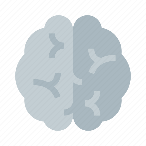 Brain, head, idea, cerebral, gyrus, medical, psychology icon - Download on Iconfinder