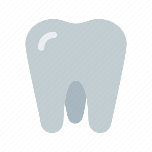 Tooth, dental, dentist, medical, teeth icon - Download on Iconfinder