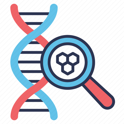 Biology, dna, genetics, genome, magnifier, search, test icon - Download on Iconfinder