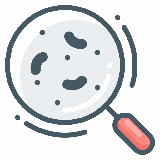 Bacteria, magnifier, magnifying, glass, loupe icon - Download on Iconfinder