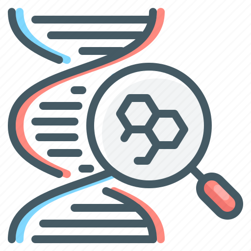 Dna, genetics, genome, magnifier, research icon - Download on Iconfinder
