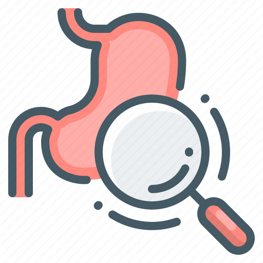Stomach, examination, diagnosis, organ, magnifier icon - Download on Iconfinder