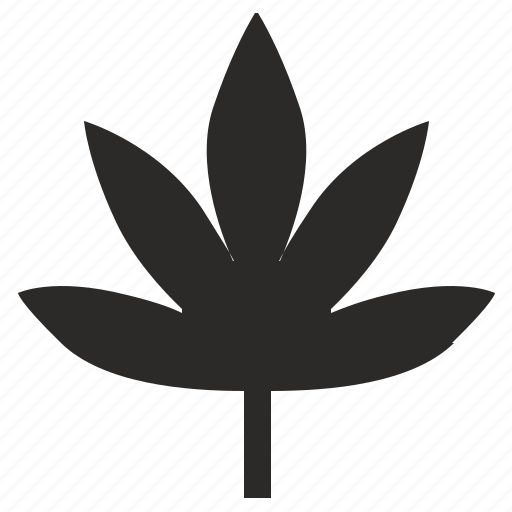 Canabis, drug, med, medicine, plant icon - Download on Iconfinder